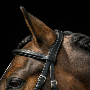 Silver Spur: Fancy Stitched Padded Monocrown Snaffle Bridle Bobby's English Tack