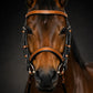 Signature Series: Square Raised Snaffle Bridle My Store