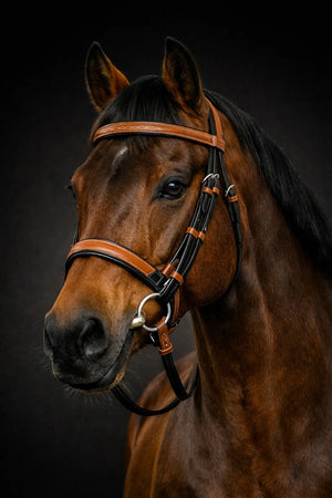 Signature Series: Square Raised Snaffle Bridle My Store