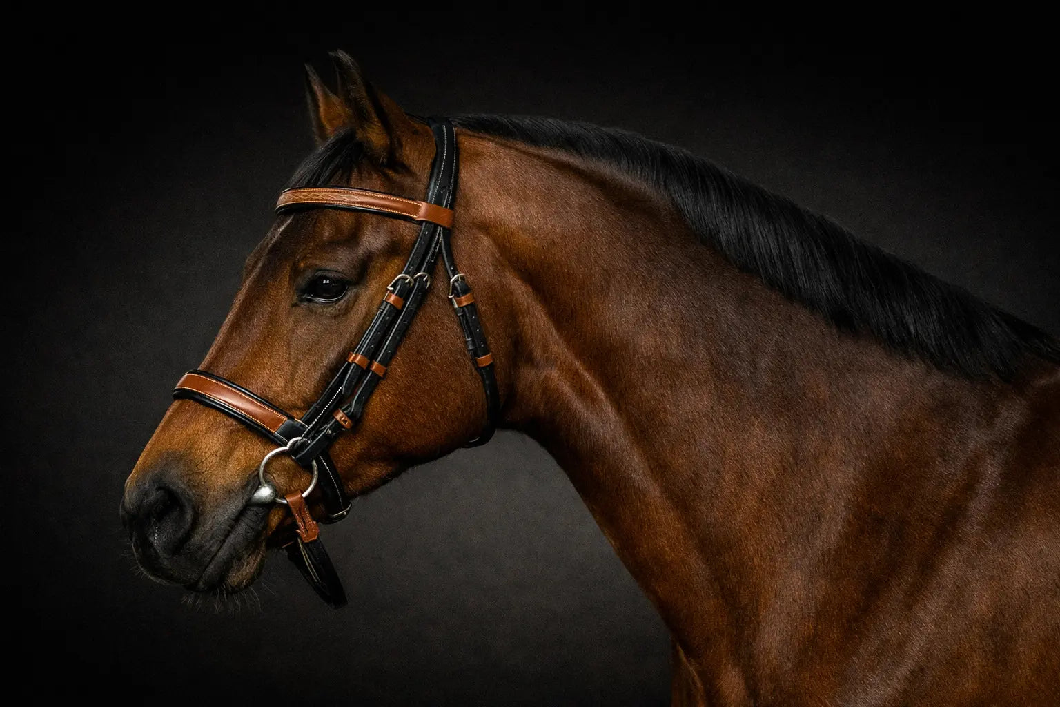 Signature Series: Square Raised Snaffle Bridle My Store