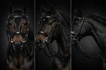 Signature Series: Square Raised Snaffle Bridle My Store
