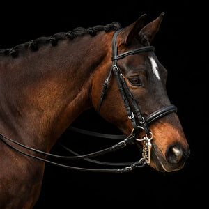 Signature Series: Weymouth Padded Dressage Bridle