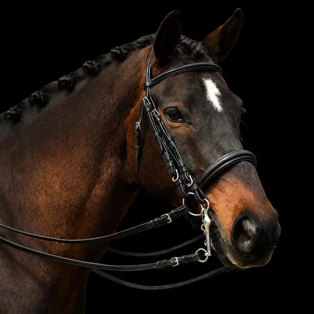 Signature Series: Weymouth Padded Dressage Bridle Bobby's English Tack