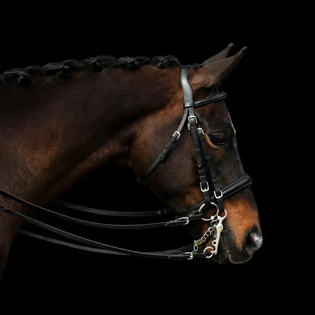 Signature Series: Weymouth Padded Dressage Bridle Bobby's English Tack
