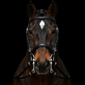 Signature Series: Weymouth Padded Dressage Bridle Bobby's English Tack