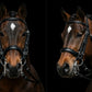 Signature Series: Weymouth Padded Dressage Bridle with Crank Noseband