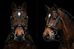 Signature Series: Weymouth Padded Dressage Bridle with Crank Noseband