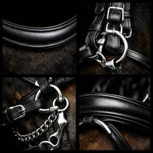 Signature Series: Weymouth Padded Dressage Bridle with Crank Noseband