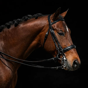 Signature Series: Weymouth Padded Dressage Bridle with Crank Noseband