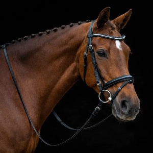 Signature Series: Square Raised Padded Monocrown Dressage Bridle with Flash