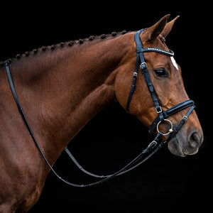 Signature Series: Square Raised Padded Monocrown Dressage Bridle with Flash