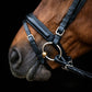Signature Series: Square Raised Padded Monocrown Dressage Bridle with Flash