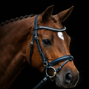 Signature Series: Square Raised Padded Monocrown Dressage Bridle with Flash