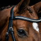 Signature Series: Square Raised Padded Monocrown Dressage Bridle with Flash