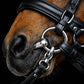 Signature Series: Padded Crown Dressage Bridle with Flash