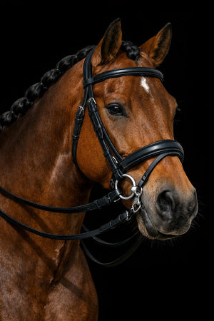 Signature Series: Padded Crown Dressage Bridle with Flash