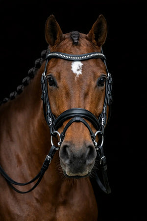 Signature Series: Padded Monocrown Dressage Bridle with Curved Padded Bling Browband