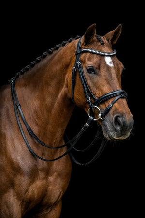 Signature Series: Padded Monocrown Dressage Bridle with Curved Padded Bling Browband