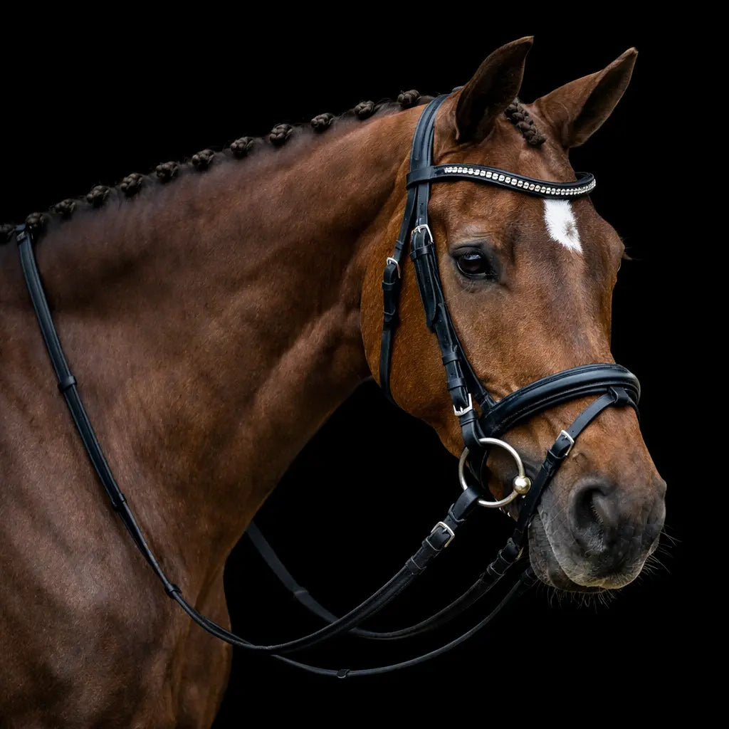 Signature Series: Padded Monocrown Dressage Bridle with Curved Padded Bling Browband