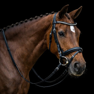 Signature Series: Padded Monocrown Dressage Bridle with Curved Padded Bling Browband