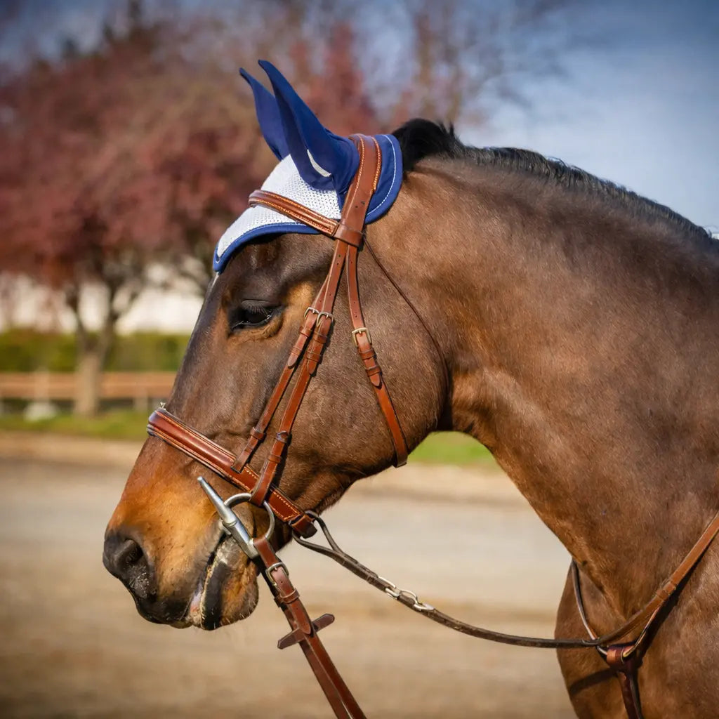 Signature Series: Monocrown Round Raised Show Bridle