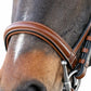 Signature Series: Monocrown Round Raised Show Bridle