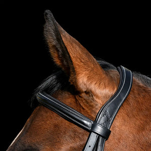 Signature Series: Fancy Stitched Figure 8 Monocrown Bridle Bobby's English Tack