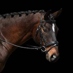 Signature Series: Monocrown Padded Dressage Bridle with Crank