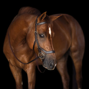 Bobby's Anatomical Bridle (New Arrival)
