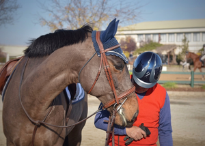 Signature Series Monocrown Round Raised Show Bridle