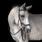 Bobby’s Anatomical Bridle: Precision Engineering & Total Comfort