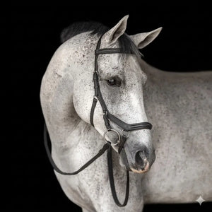 Bobby’s Anatomical Bridle: Precision Engineering & Total Comfort Bobby's English Tack