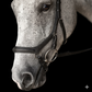 Bobby’s Anatomical Bridle: Precision Engineering & Total Comfort