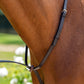 Fairhaven Plain Raised Standing Martingale