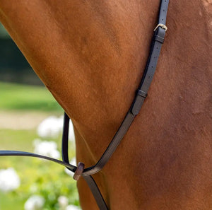 Fairhaven Plain Raised Standing Martingale Bobby's English Tack