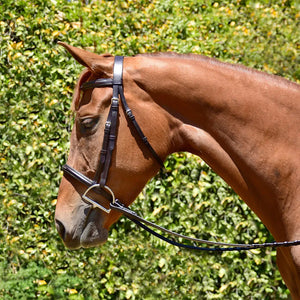 Fairhaven Padded Fancy Stitched Raised Bridle