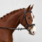 Fairhaven Plain Raised Bridle with Flash