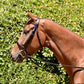 Fairhaven Plain Raised Snaffle Bridle