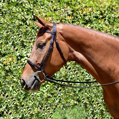 Fairhaven Plain Raised Snaffle Bridle