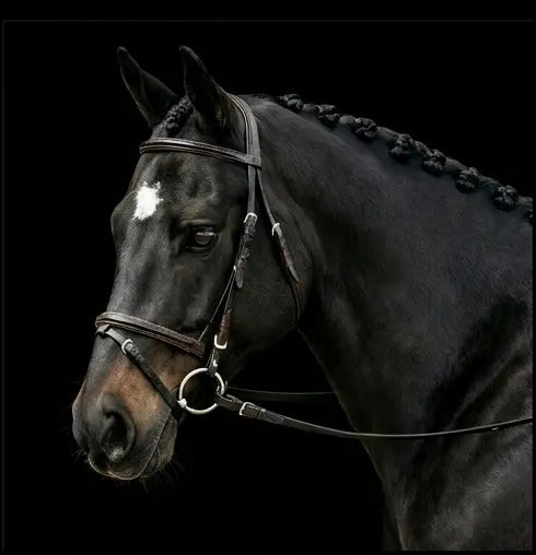Silver Spur: Padded Raised Snaffle Bridle with Flash