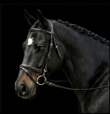 Silver Spur: Padded Raised Snaffle Bridle with Flash