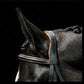 Silver Spur: Padded Raised Snaffle Bridle with Flash