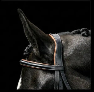 Silver Spur: Padded Raised Snaffle Bridle with Flash