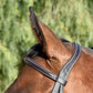 Signature Series Fancy Stitched Figure 8 Monocrown Bridle