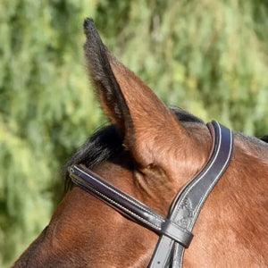 Signature Series Fancy Stitched Figure 8 Monocrown Bridle