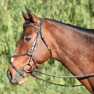 Signature Series Fancy Stitched Figure 8 Monocrown Bridle