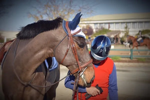 Signature Series Monocrown Round Raised Show Bridle