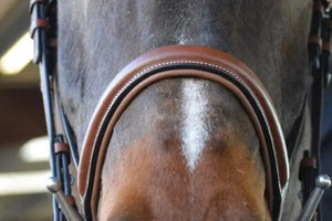 Signature Series Monocrown Round Raised Wide Noseband Show Bridle
