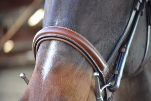 Signature Series Monocrown Round Raised Wide Noseband Show Bridle