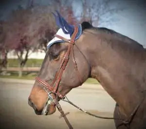 Signature Series Monocrown Round Raised Wide Noseband Show Bridle Bobby's English Tack